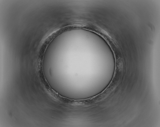 X0000113361448200909291020