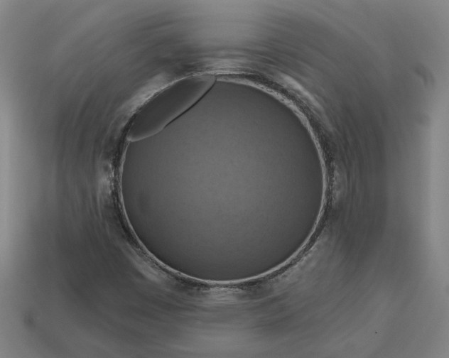 X0000113361449200909291020