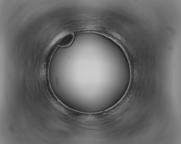 X0000113361450200909291020