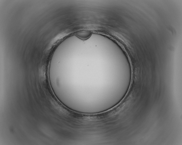 X0000113361451200909291020