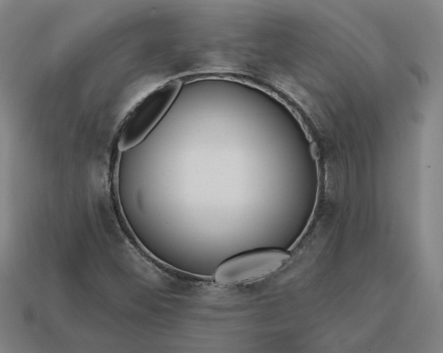 X0000113361452200909291020