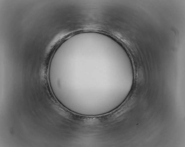 X0000113361454200909291020