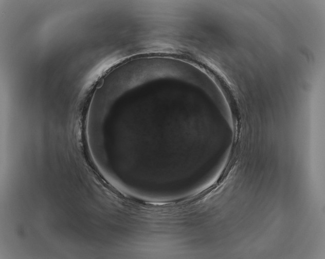 X0000113361455200909291020