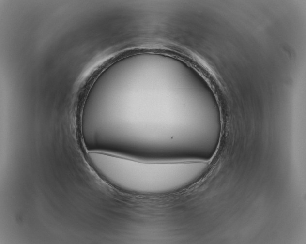 X0000113361456200909291020