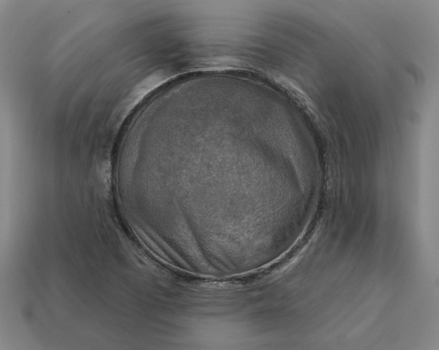 X0000113361457200909291020