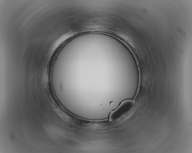 X0000113361458200909291020