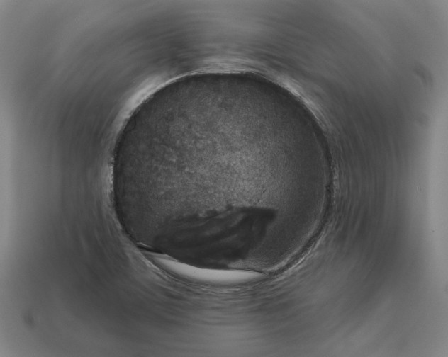 X0000113361459200909291020