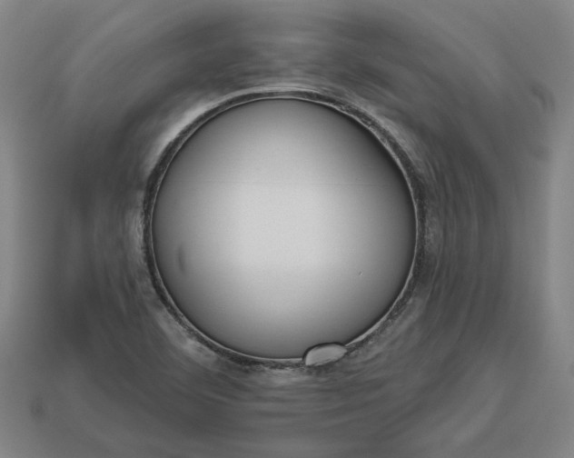 X0000113361460200909291020