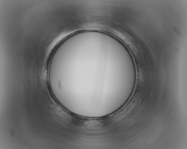 X0000113361462200909291020