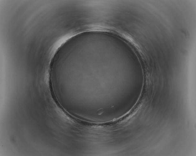 X0000113361463200909291020