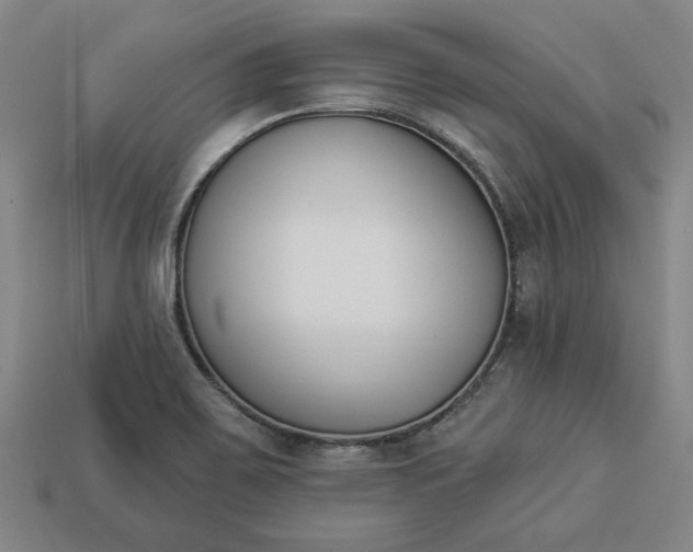 X0000113361467200909291020