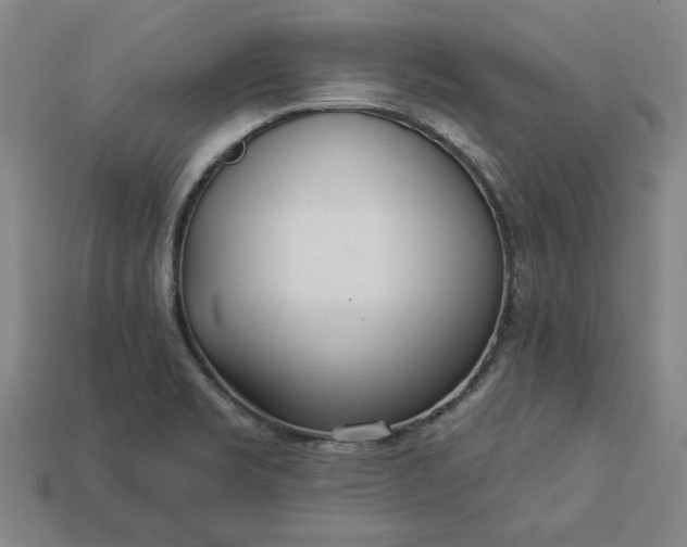 X0000113361469200909291020
