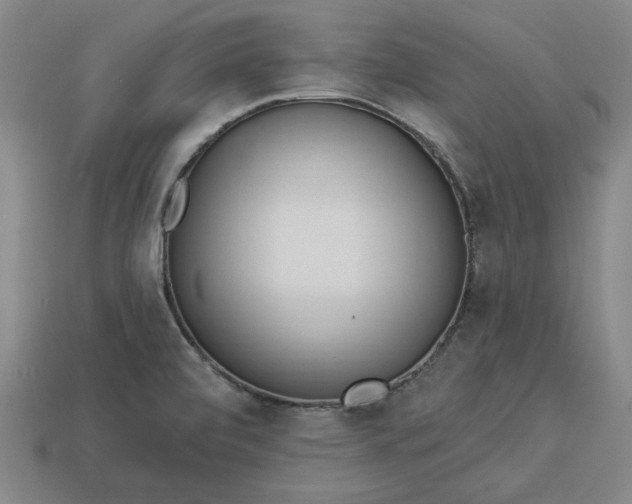 X0000113361472200909291020