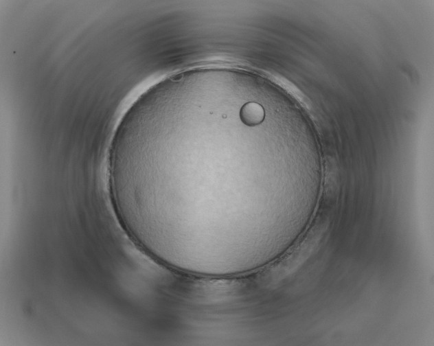 X0000113361474200909291020