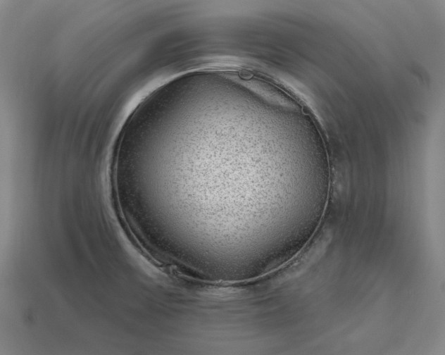 X0000113361475200909291020