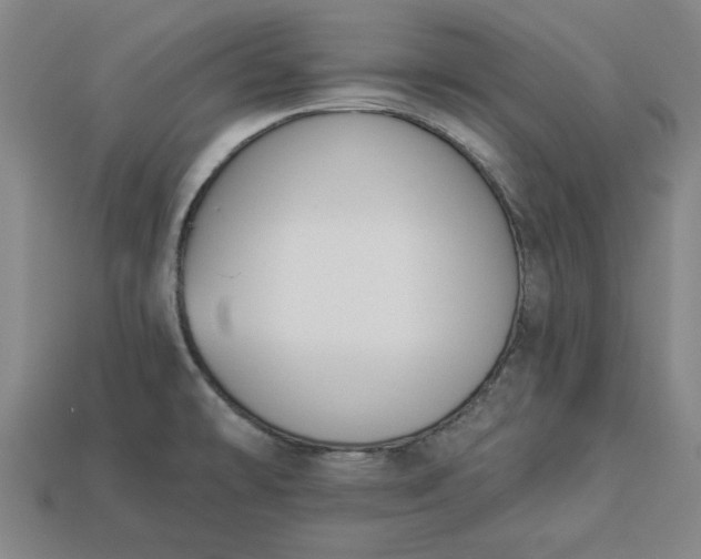 X0000113361478200909291020