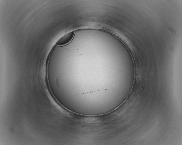 X0000113361479200909291020