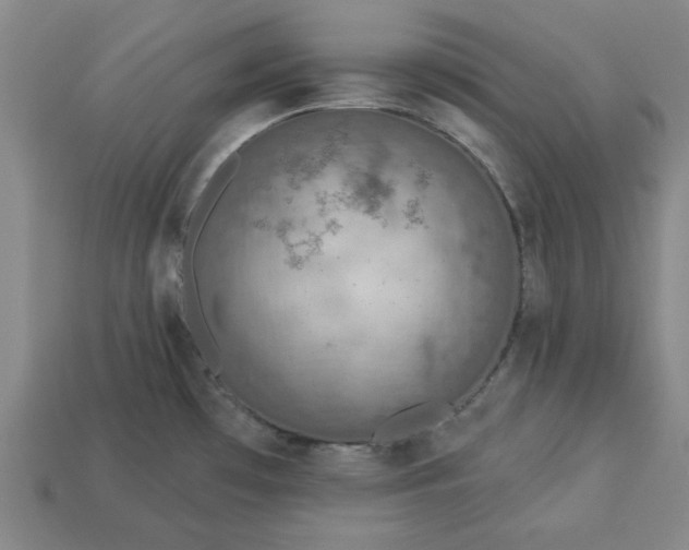 X0000113361481200909291020
