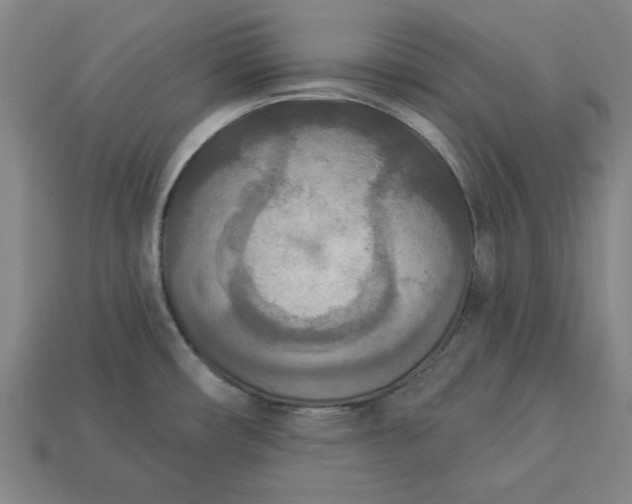 X0000113361482200909291020