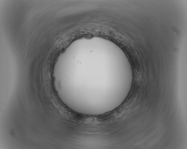 X0000113361489200909291019