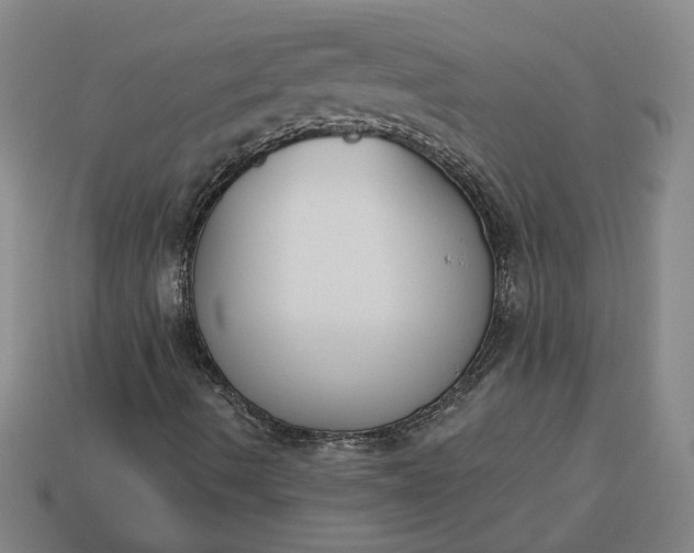 X0000113361490200909291019