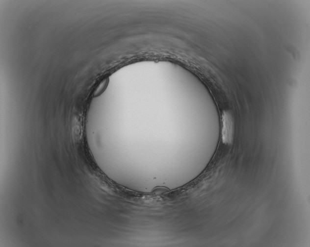 X0000113361491200909291019