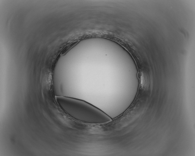 X0000113361492200909291019