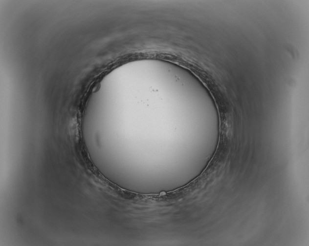 X0000113361493200909291019