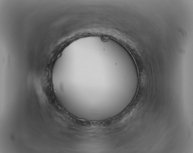 X0000113361494200909291019