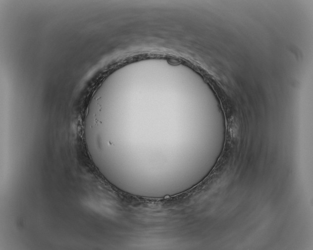 X0000113361495200909291019