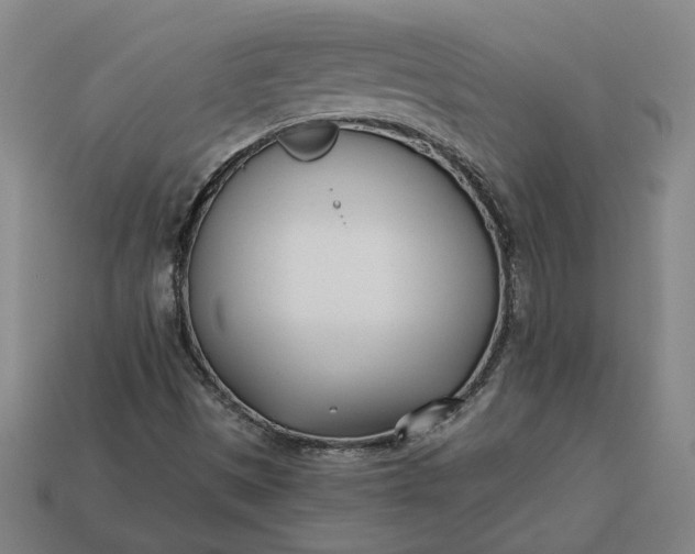 X0000113361497200909291019