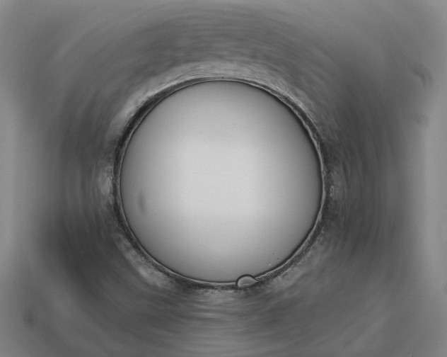 X0000113361499200909291019