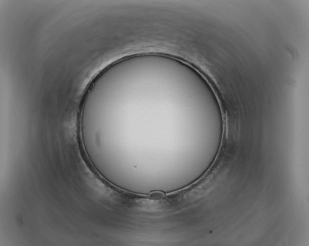 X0000113361500200909291019