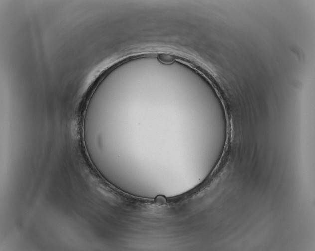 X0000113361501200909291019