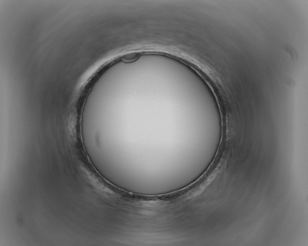 X0000113361502200909291019