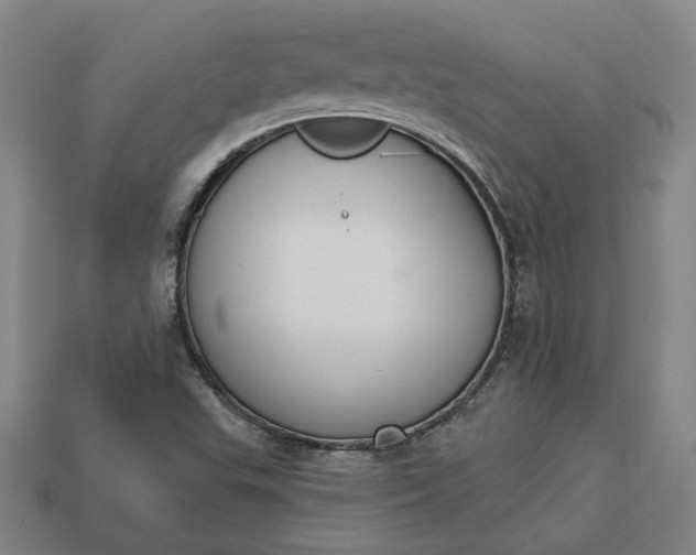 X0000113361503200909291019