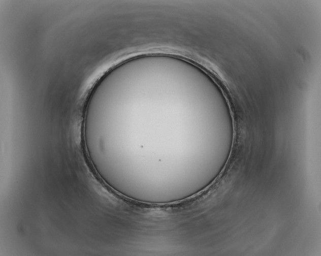 X0000113361504200909291019