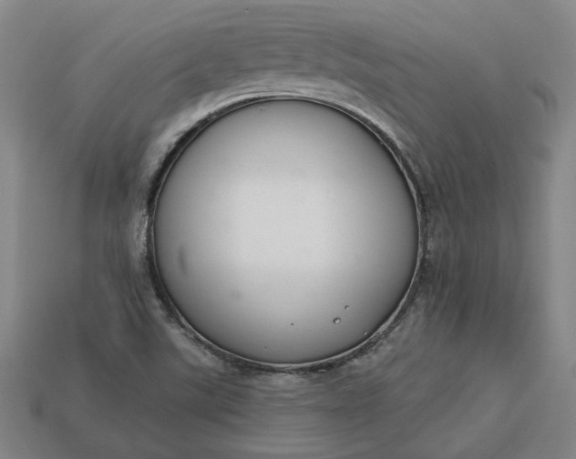 X0000113361507200909291019