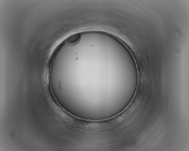 X0000113361510200909291019