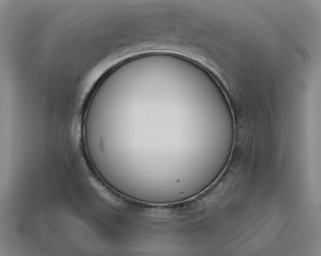 X0000113361511200909291019