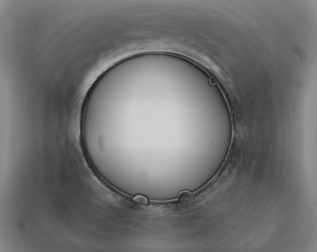 X0000113361512200909291019
