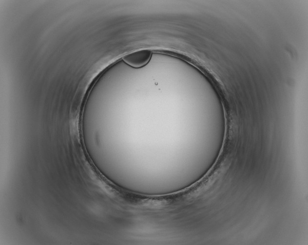 X0000113361513200909291019