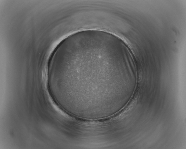 X0000113361515200909291019