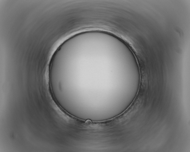 X0000113361516200909291019