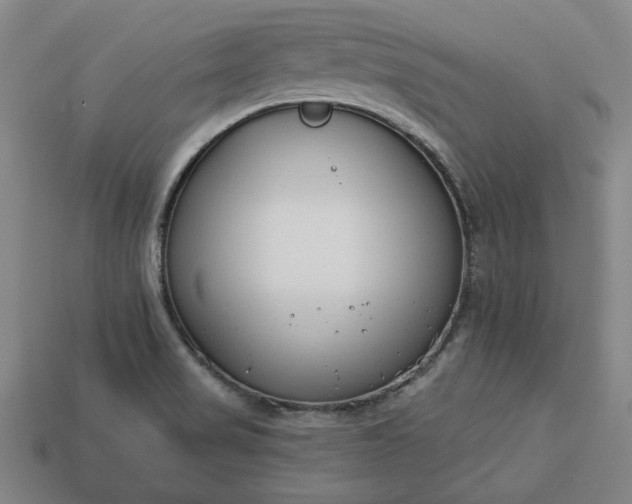 X0000113361517200909291019