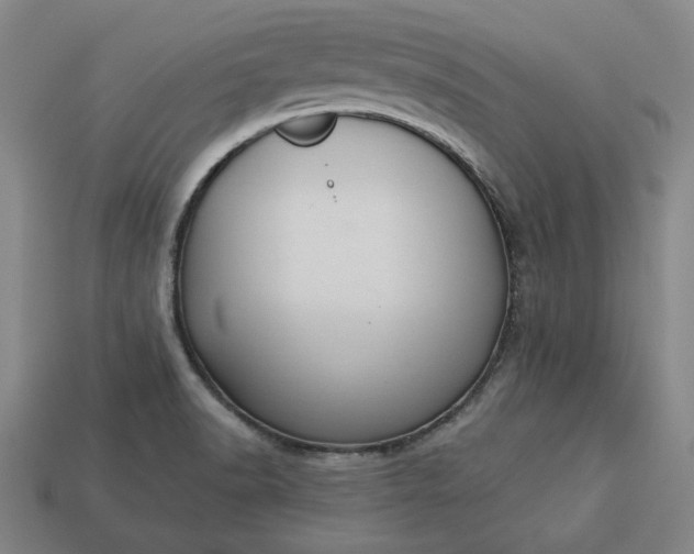 X0000113361518200909291019