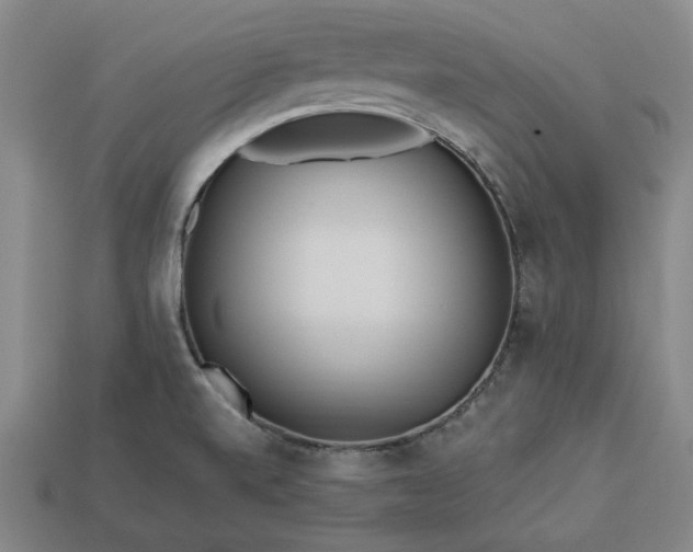 X0000113361520200909291019