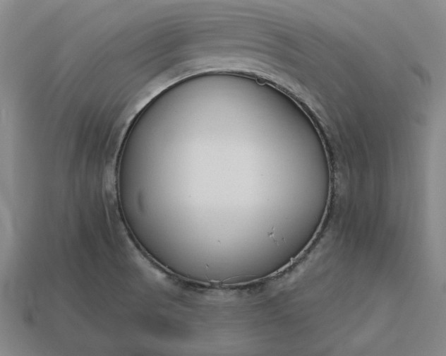 X0000113361521200909291019
