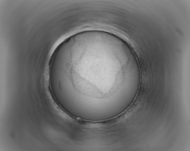 X0000113361522200909291019
