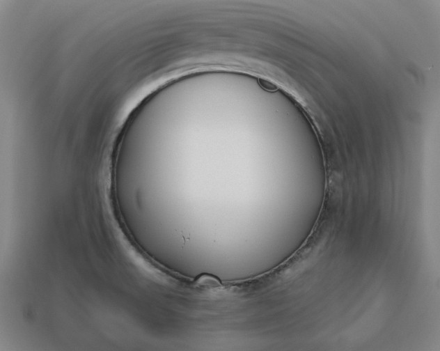 X0000113361523200909291019